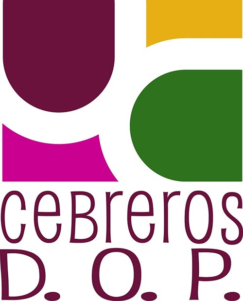 Tecnovino DOP Cebreros logo