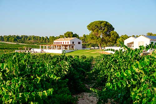 Tecnovino Finca Cor Ví