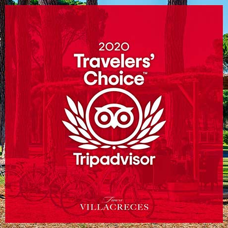 Tecnovino Finca Villacreces Premio Travelers' Choice 2020