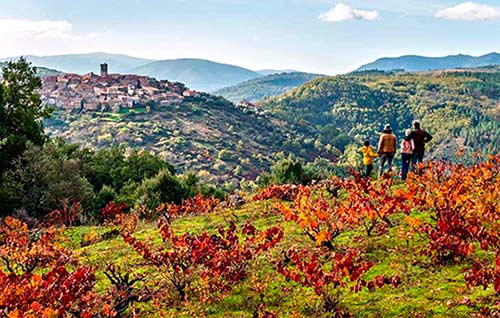 Tecnovino enoturismo en las Rutas del Vino Sierra de Francia vinedos y Miranda del Castañar