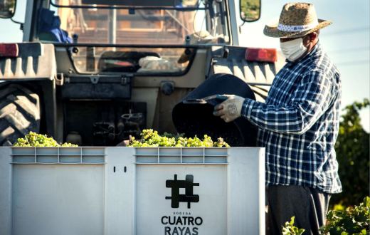 Tecnovino Bodega Cuatro Rayas