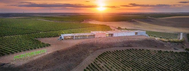 Tecnovino Finca Montepedroso vista panorámica