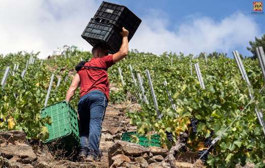 Tecnovino Ribeira Sacra