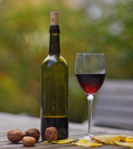 Tecnovino vinos perfectos para otoño Vinissimus