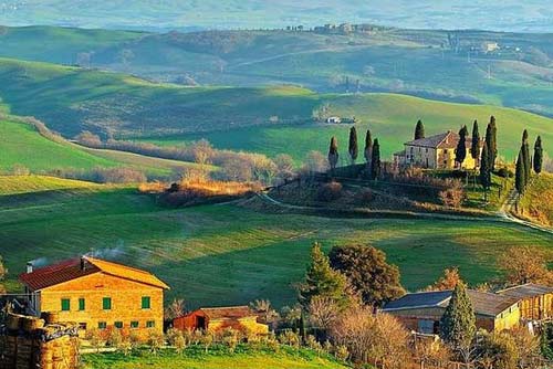 Tecnovino experiencias del mundo del vino TripAdvisor Toscana