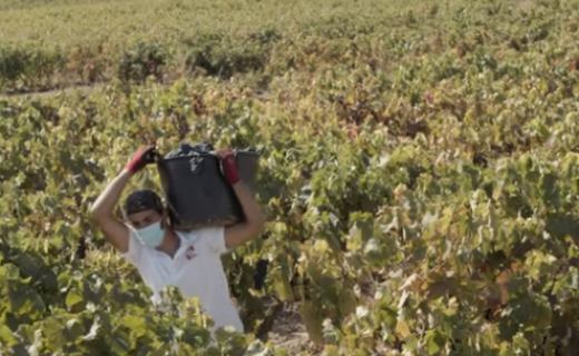 Tecnovino vendimia Rioja