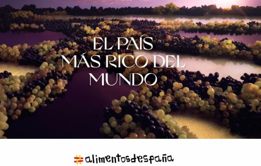 Tecnovino ElPaisMasRicoDelMundo