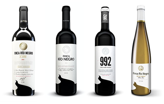 Tecnovino Finca Rio Negro vinos detalle