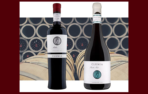 Tecnovino Clunia Malbec y Pinot Noir detalle