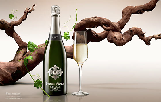 Tecnovino Segura Viudas Brut Reserva detalle