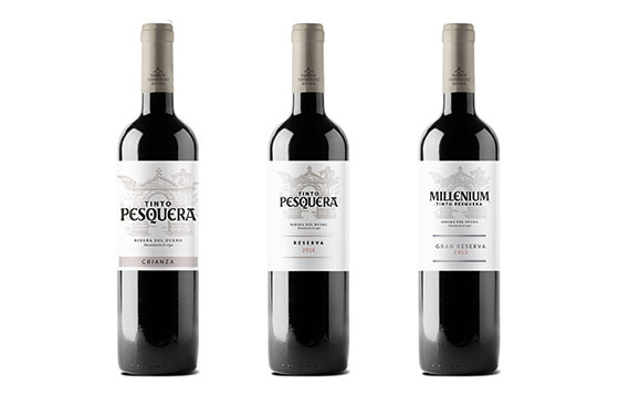 Tecnovino vinos de Bodega Tinto Pesquera detalle