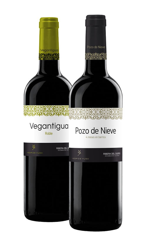 Tecnovino Pozo de Nieve y Vegantigua