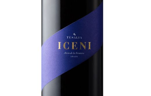 Tecnovino Iceni 2019