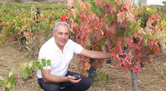 Tecnovino Juan Luis Canas vinedo Familia Luis Cañas cepas de benedicto