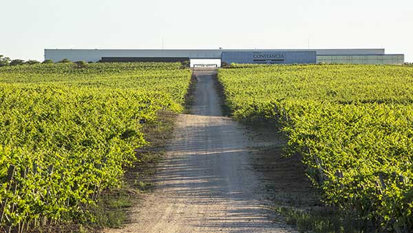 Tecnovino energías renovables González Byass Finca Constancia