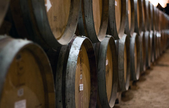 Tecnovino vino en Galicia 1