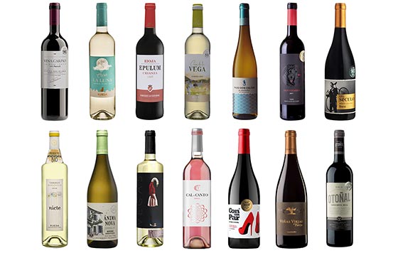 Tecnovino vinos más vendidos en Aldi detalle