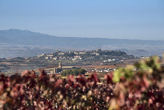 Tecnovino Bodega 2020 vino Ansa vina El Villar y Laguardia