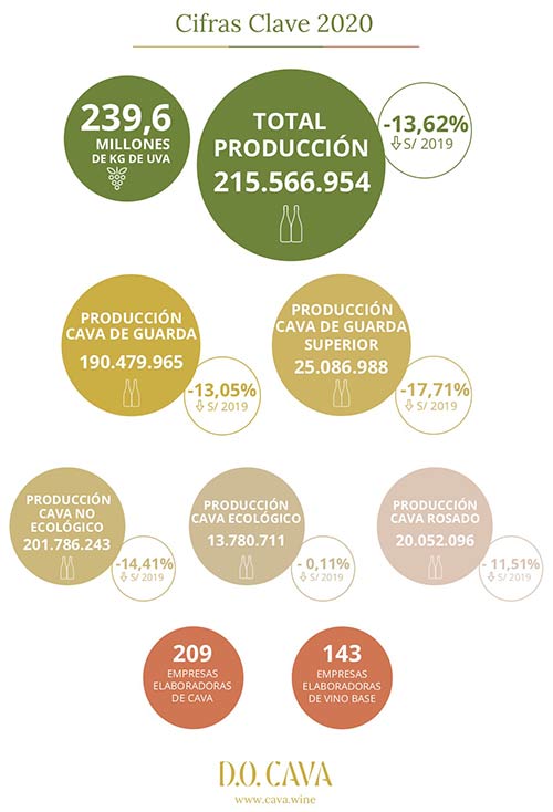 Tecnovino D.O. Cava cifras 2020