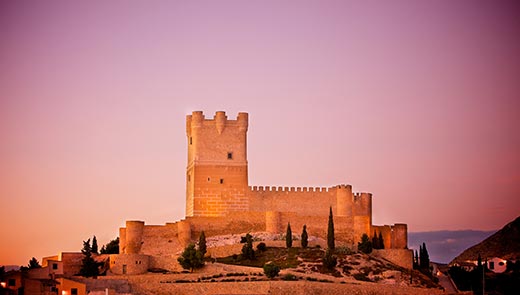 Tecnovino Ruta del Vino Alicante Castillo de Villena