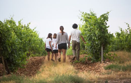 Tecnovino Ruta del Vino Ribera del Duero