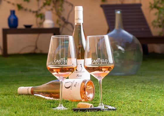 Tecnovino vinos jóvenes de Castelo de Medina Rosé