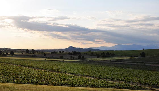 Tecnovino heladas en el viñedo Bodega Laus