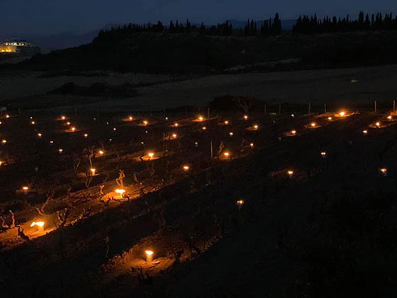 Tecnovino heladas en el viñedo Bodegas Tierra