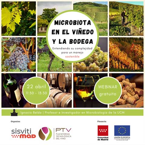 Tecnovino microbiota en el viñedo y la bodega PTV Sisvitimad