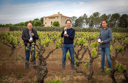 Tecnovino Clos Ancestral 2019 Familia Torres Llopart Torres Escofet