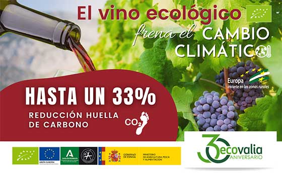 Tecnovino producción ecológica de vino en Andalucía Ecovalia detalle