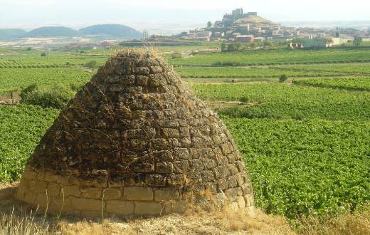 Tecnovino Bodegas Sonsierra