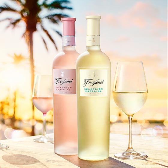 Tecnovino Coleccion de Vinos Freixenet