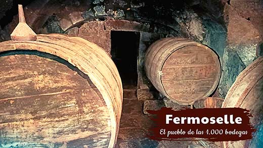 Tecnovino Fermoselle Villa del Vino bodegas