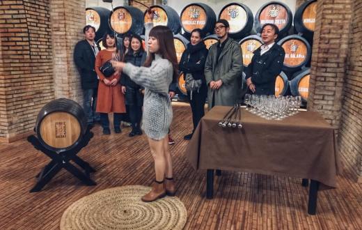 Tecnovino Sherry Academy