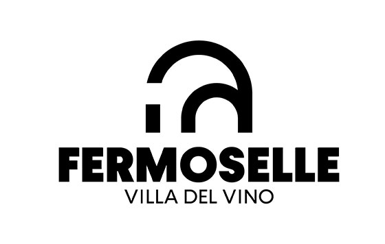 Tecnovino logo Fermoselle Villa del Vino detalle