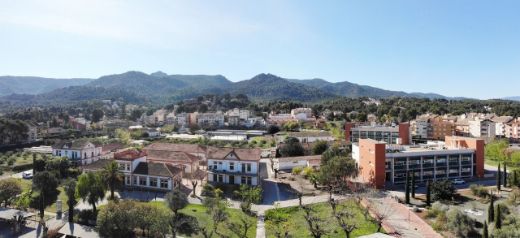 Tecnovino nuevas variedades de uva centro IMIDA