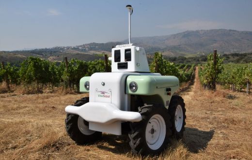 Tecnovino robot de observación vitícola