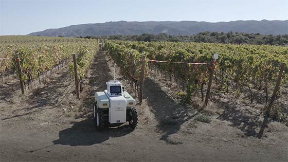 Tecnovino robot agrÍcola VineScout viñedo 1