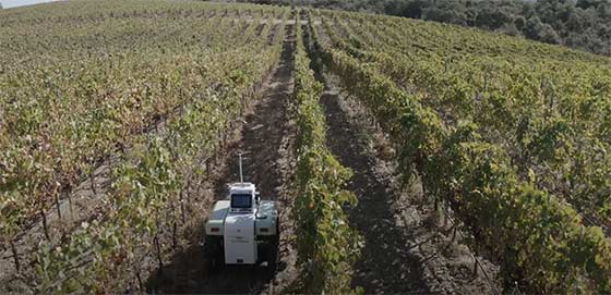 Tecnovino robot agrÍcola VineScout viñedo 2