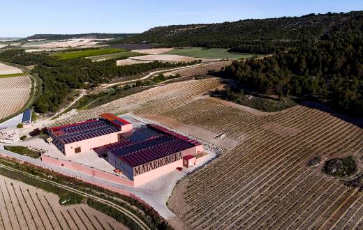 Tecnovino uso de ozono Matarromera