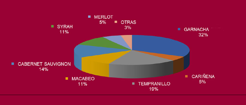 Tecnovino DOP Carinena variedades cultivadas