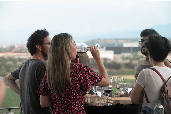 Tecnovino Encuentro Enogastronómico Ruta del Vino de Rioja Alavesa 1