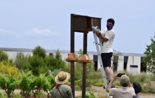 Tecnovino proyecto de hacking de la bodega Herència Altés