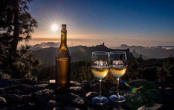 Tecnovino Ruta del Vino de Gran Canaria 1