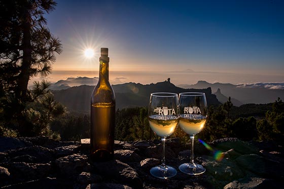 Tecnovino Ruta del Vino de Gran Canaria 1