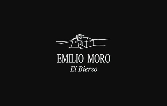 Tecnovino Emilio Moro El Bierzo