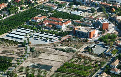 Tecnovino nuevas variedades de uva centro IMIDA detalle