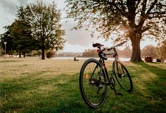 Tecnovino planes de enoturismo en familia OIVE bicicleta Unsplash