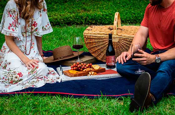 Tecnovino planes de enoturismo en familia OIVE picnic viñedos Unsplash